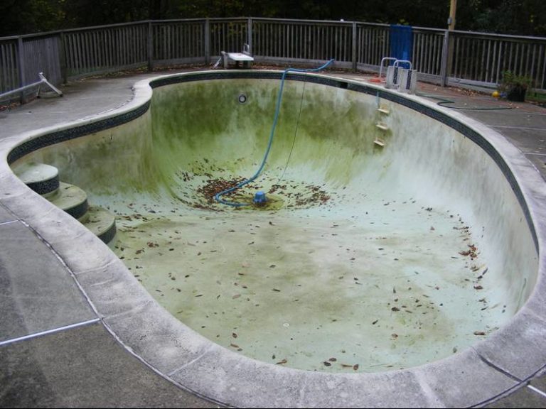 How to treat and avoid pool staining and discoloration problems